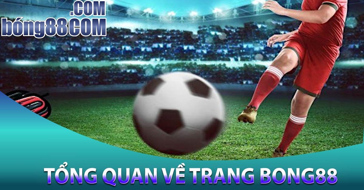 Tổng quan về trang Bong88