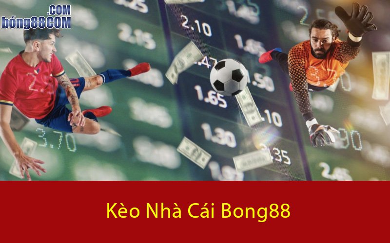 Tổng quan về kèo nhà cái bong88