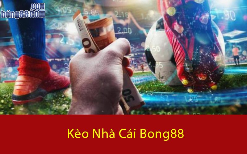 Các loại kèo nhà cái bong88 nhiều người ưu chuộng